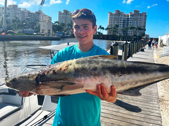 The Dual Thrill: Pursuing Cobia and Snook in Florida’s Waters