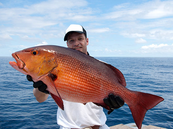 Snapper Adventures with Smokin Hooks: A Florida Fishing Highlight